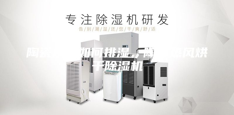 陶瓷烘干如何排湿，陶瓷热风烘干除湿机