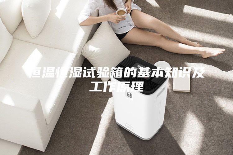 恒温恒湿试验箱的基本知识及工作原理