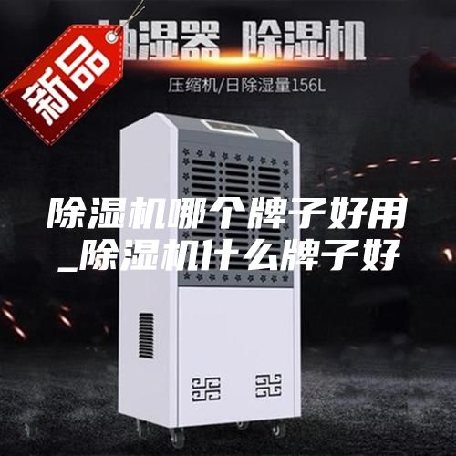 除湿机哪个牌子好用_除湿机什么牌子好