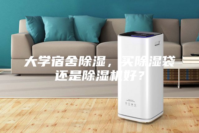 大学宿舍除湿，买除湿袋还是除湿机好？