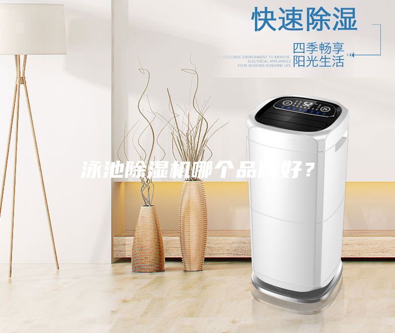 泳池除湿机哪个品牌好？