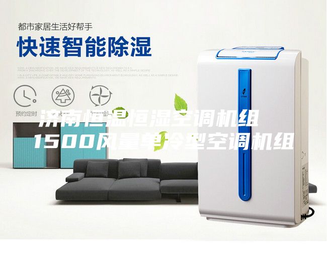 济南恒温恒湿空调机组  1500风量单冷型空调机组