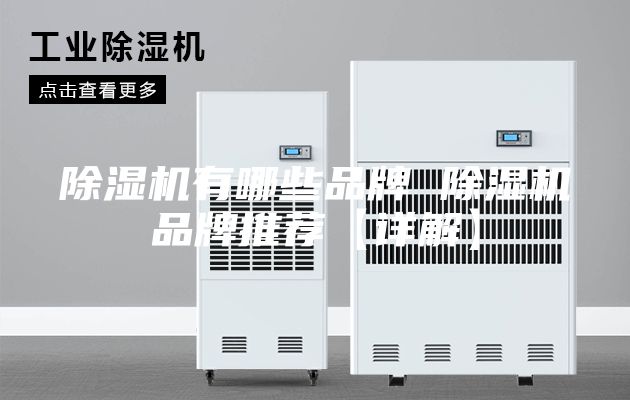 除湿机有哪些品牌 除湿机品牌推荐【详解】