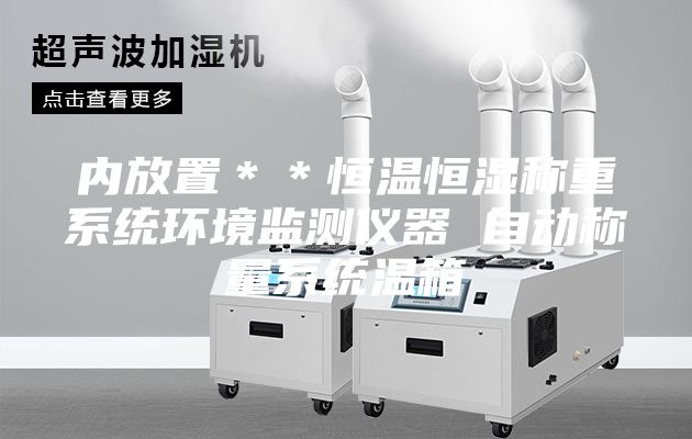 内放置＊＊恒温恒湿称重系统环境监测仪器 自动称量系统温箱