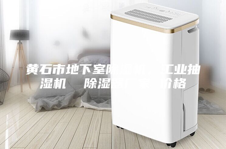 黄石市地下室除湿机，工业抽湿机  除湿器厂家 价格