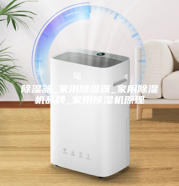 除湿器_家用除湿器_家用除湿机品牌_家用除湿机原理