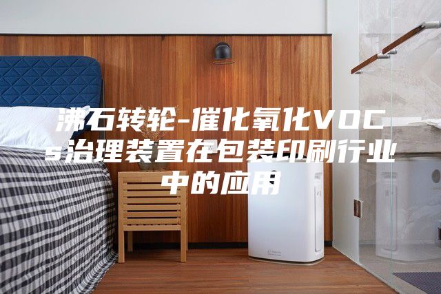 沸石转轮-催化氧化VOCs治理装置在包装印刷行业中的应用