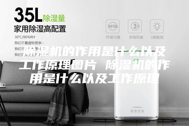 除湿机的作用是什么以及工作原理图片 除湿机的作用是什么以及工作原理