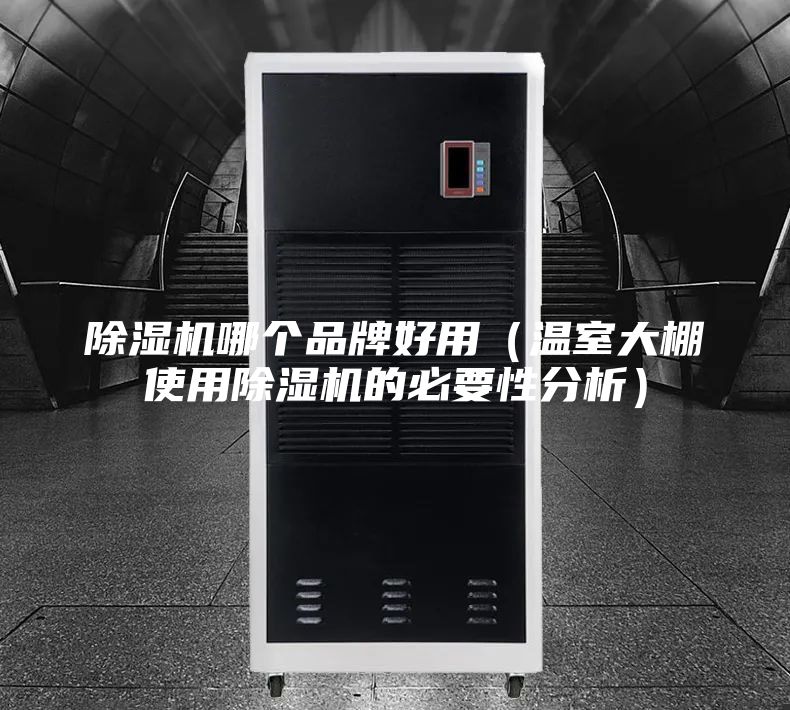 除湿机哪个品牌好用（温室大棚使用除湿机的必要性分析）