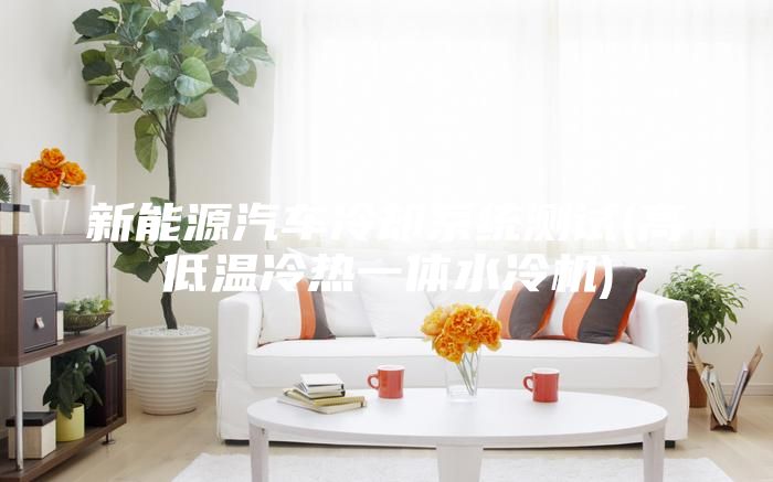 新能源汽车冷却系统测试(高低温冷热一体水冷机)