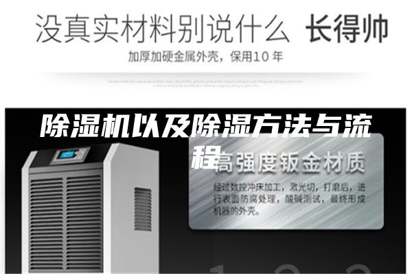 除湿机以及除湿方法与流程
