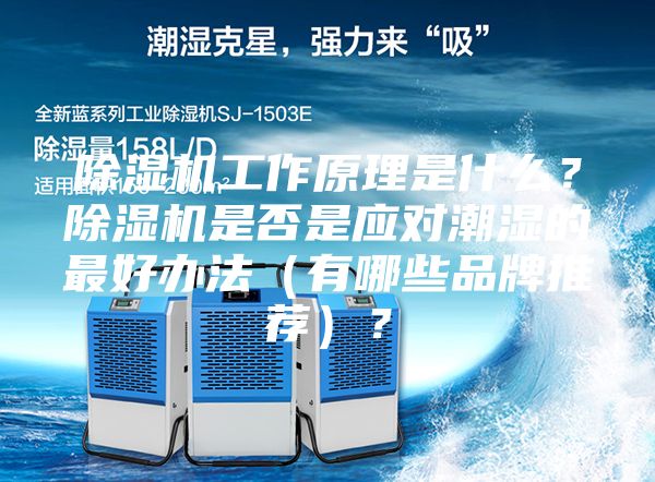 除湿机工作原理是什么？除湿机是否是应对潮湿的最好办法（有哪些品牌推荐）？