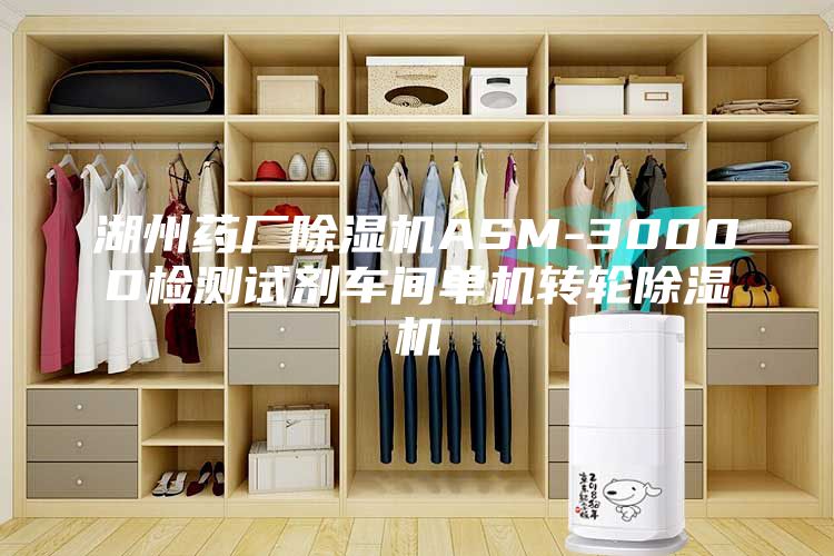湖州药厂除湿机ASM-3000D检测试剂车间单机转轮除湿机