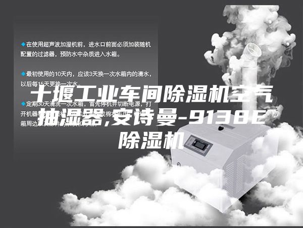 十堰工业车间除湿机空气抽湿器,安诗曼-9138E除湿机