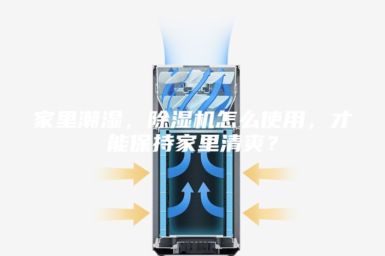 家里潮湿，除湿机怎么使用，才能保持家里清爽？