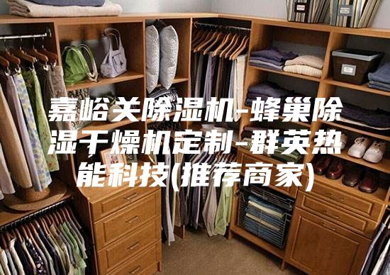 嘉峪关除湿机-蜂巢除湿干燥机定制-群英热能科技(推荐商家)