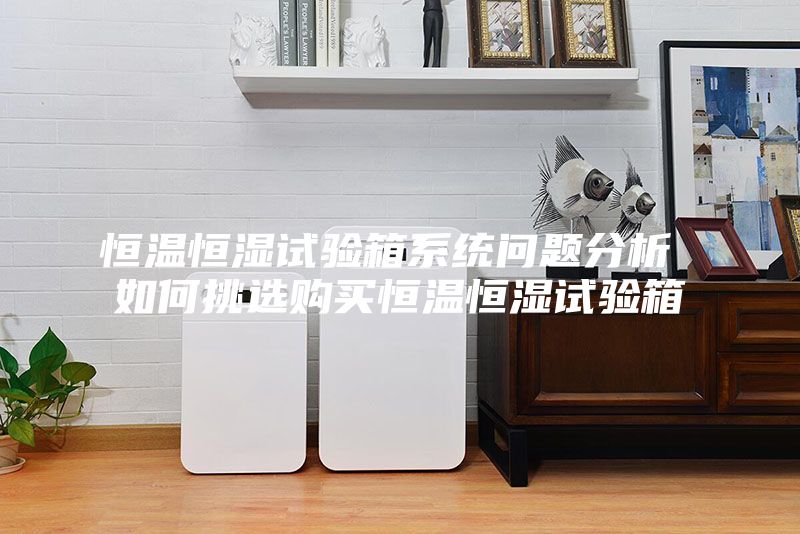 恒温恒湿试验箱系统问题分析 如何挑选购买恒温恒湿试验箱