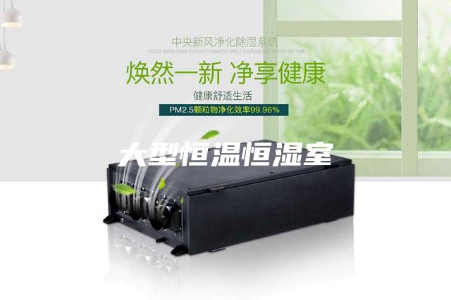 大型恒温恒湿室