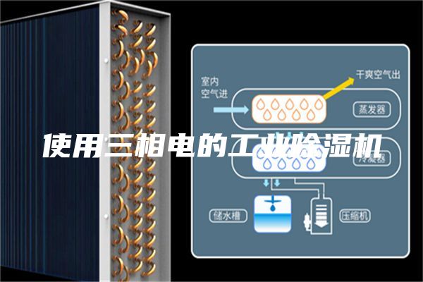 使用三相电的工业除湿机