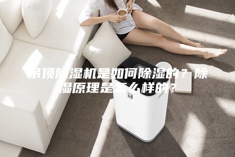 吊顶除湿机是如何除湿的？除湿原理是怎么样的？
