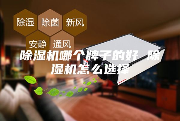 除湿机哪个牌子的好 除湿机怎么选择