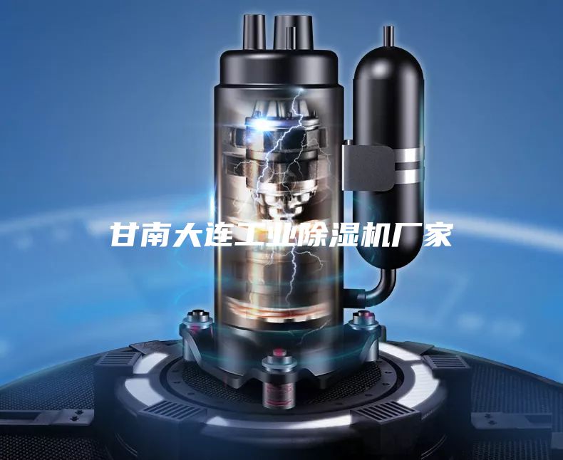甘南大连工业除湿机厂家