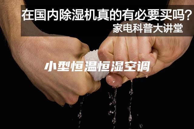 小型恒温恒湿空调