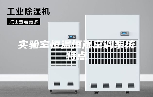 实验室恒温恒湿空调系统特点