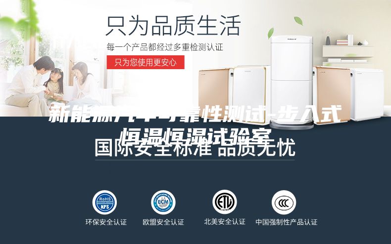 新能源汽车可靠性测试-步入式恒温恒湿试验室