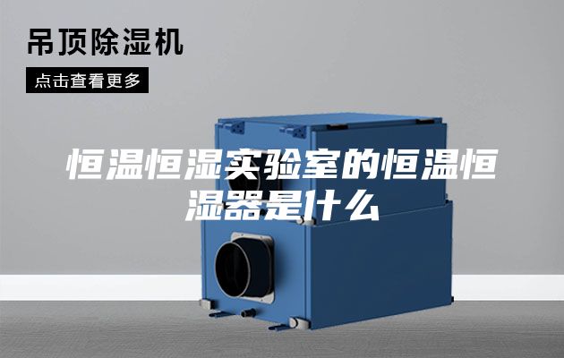 恒温恒湿实验室的恒温恒湿器是什么