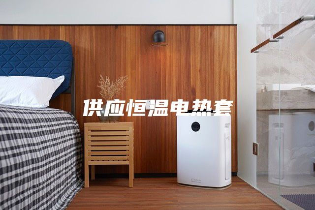 供应恒温电热套