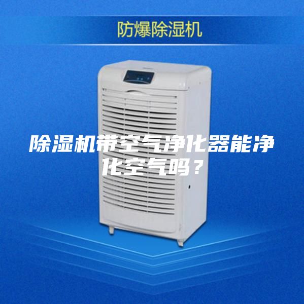 除湿机带空气净化器能净化空气吗？