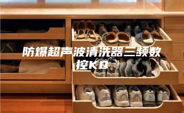 防爆超声波清洗器三频数控KQ