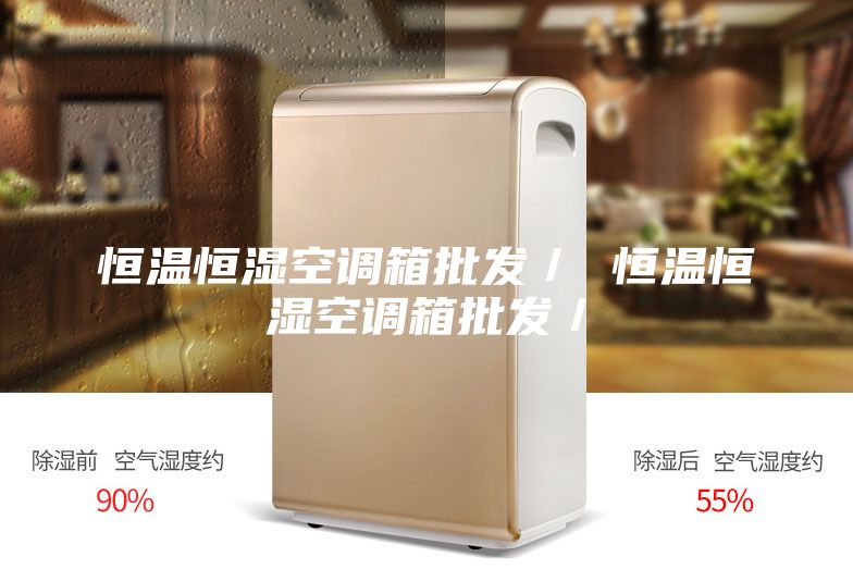 恒温恒湿空调箱批发／ 恒温恒湿空调箱批发／