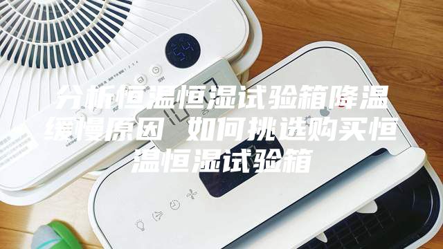 分析恒温恒湿试验箱降温缓慢原因 如何挑选购买恒温恒湿试验箱