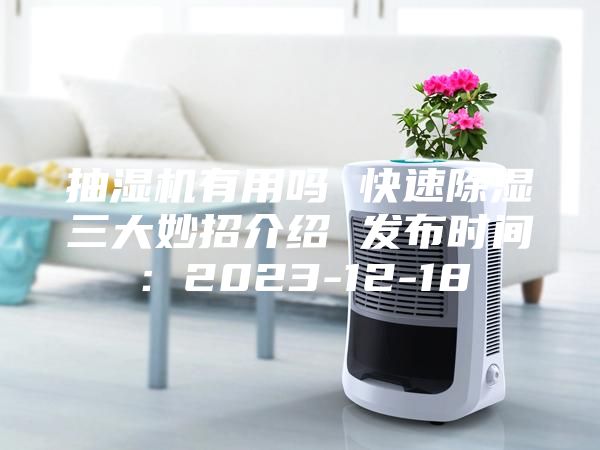 抽湿机有用吗 快速除湿三大妙招介绍 发布时间：2023-12-18