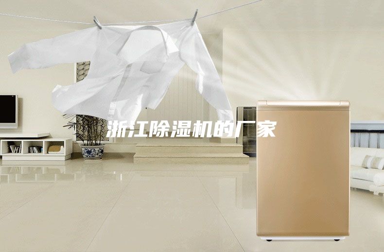 浙江除湿机的厂家