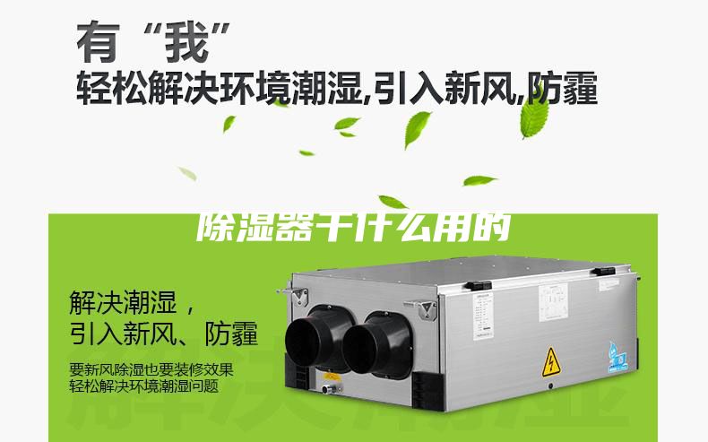 除湿器干什么用的
