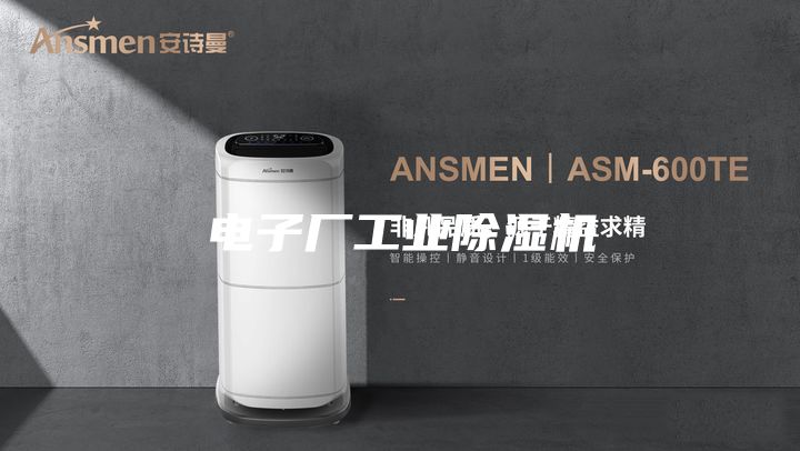 电子厂工业除湿机