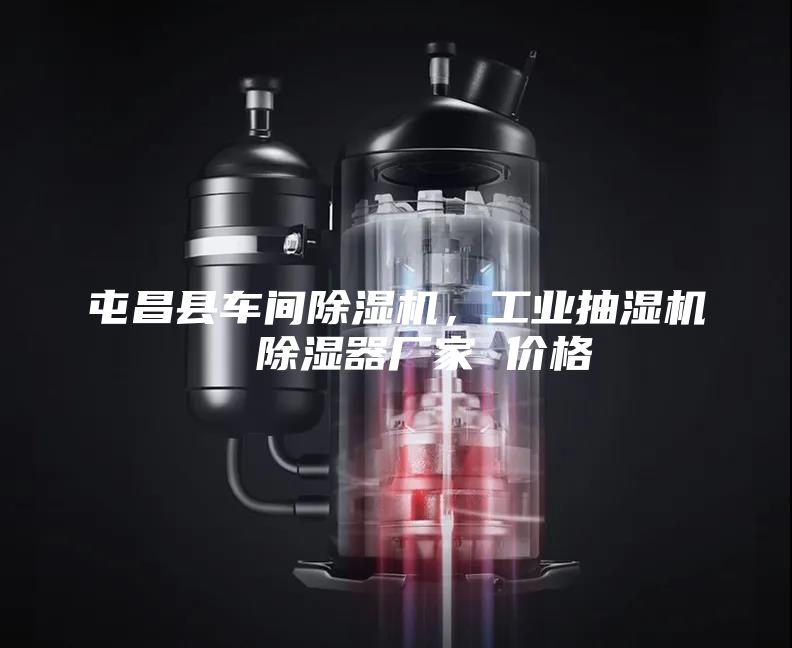 屯昌县车间除湿机，工业抽湿机  除湿器厂家 价格