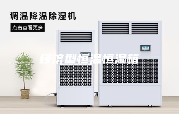 经济型恒温恒湿箱