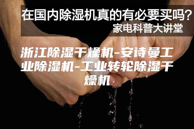 浙江除湿干燥机-安诗曼工业除湿机-工业转轮除湿干燥机