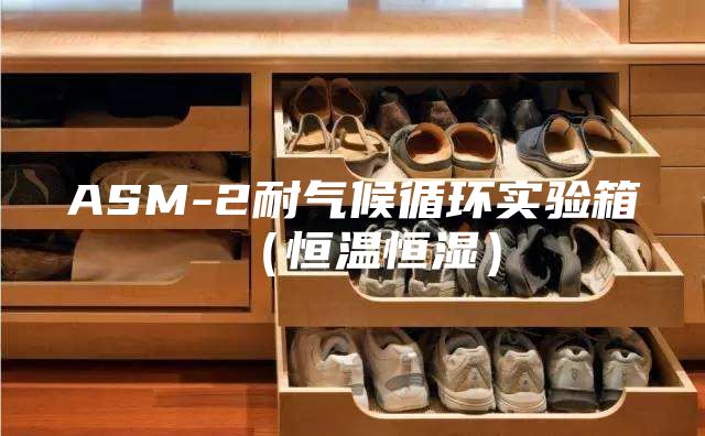 ASM-2耐气候循环实验箱（恒温恒湿）