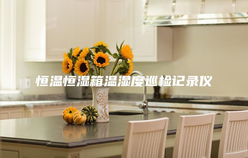 恒温恒湿箱温湿度巡检记录仪