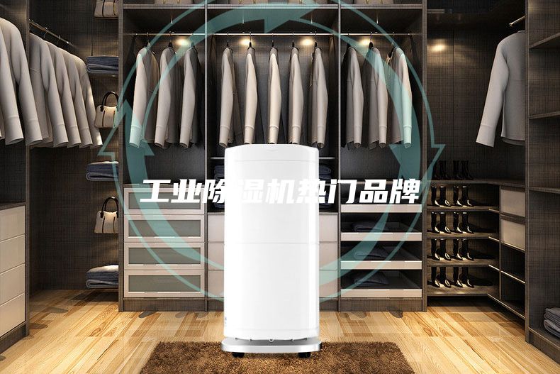 工业除湿机热门品牌