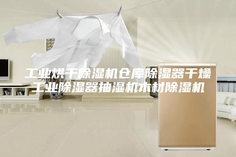 工业烘干除湿机仓库除湿器干燥工业除湿器抽湿机木材除湿机