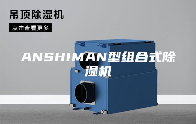 ANSHIMAN型组合式除湿机