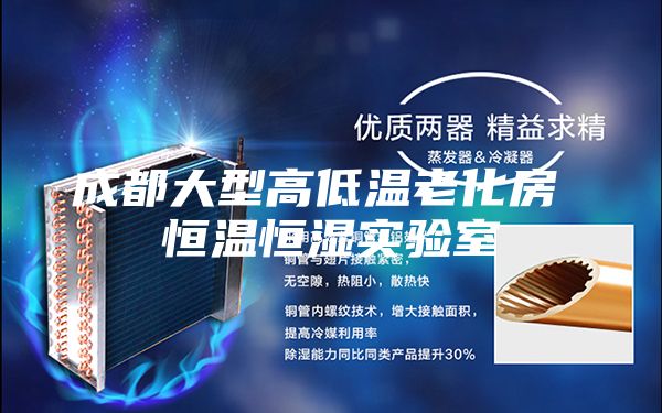 成都大型高低温老化房 恒温恒湿实验室
