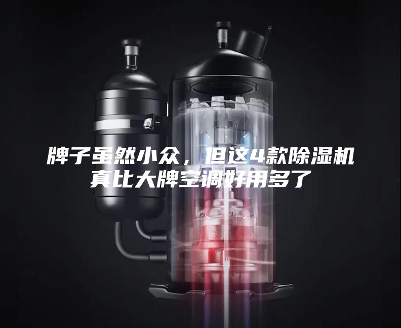 牌子虽然小众，但这4款除湿机真比大牌空调好用多了