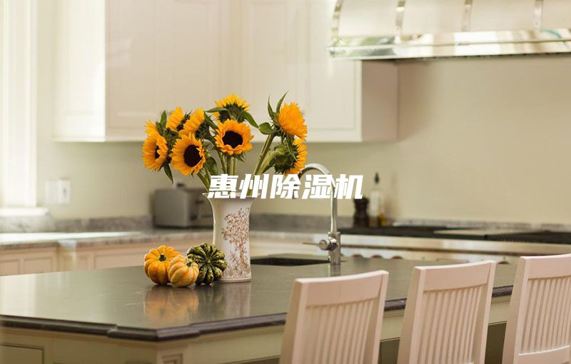 惠州除湿机